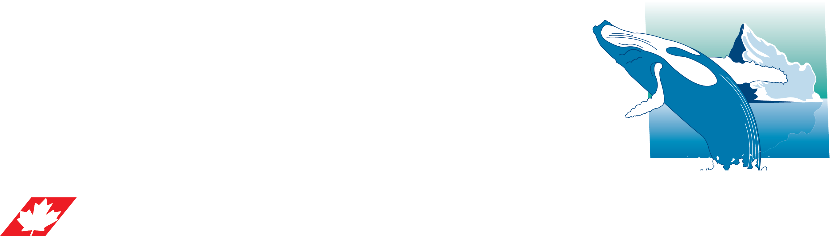 APWA Newfoundland & Labrador Chapter